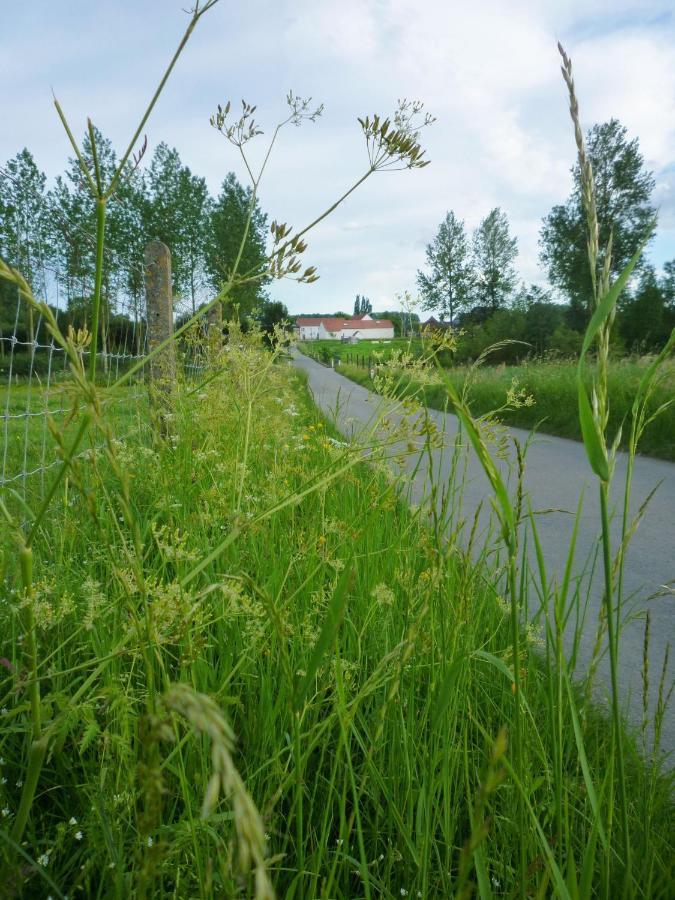 Het Verblijf Sint-Martens-Lennik ภายนอก รูปภาพ