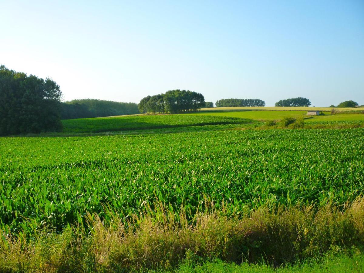 Het Verblijf Sint-Martens-Lennik ภายนอก รูปภาพ